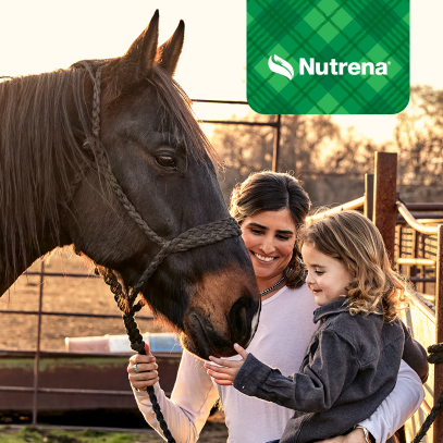 Child petting horse